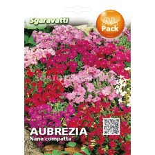 Семена Аубреция- Aubrezia SG