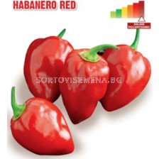 Семена Пикантен пипер Хабанеро (чушки) Habanero Red "SG - sortovisemena.bg Семена Пикантен пипер Хабанеро (чушки) Habanero Red "SG