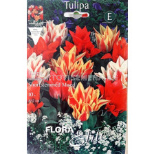Лале (Tulip) Multiflora-Mix 11/12
