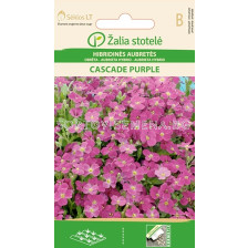 Аубриета лилава / AUBRIETA HYBRID CASCADE PURPLE / SK - 0,1 г