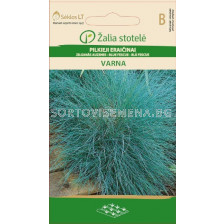 Фестука / FESCUE, BLUE VARNA / SK -0,5 г 