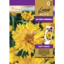 Семена Кореопсис EARLY SUNRISE TICKSEED 'SK-1 оп 50 гр