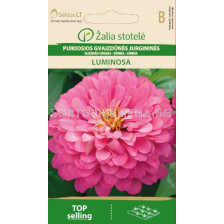 Циния Луминоза - розова / ZINNIA LUMINOSA/ SK - 1 г