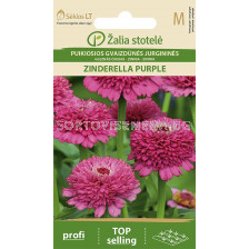 Циния Циндерела тъмно-лилава /ZINNIA ZINDERELLA PURPLE, DOUBLE/ SK - 20 семена 
