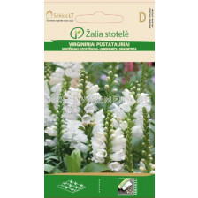 Физостегия бяла /PHYSOSTEGIA ,WHITE / SK - 0,2 г