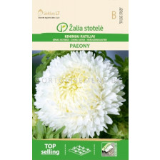 Астра божур бяла /ASTER CHINA, PAEONY WHITE/ SK - 0,5 г