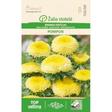 Астра помпон жълта / ASTER CHINA, POMPON YELLOW / SK - 0,5 г