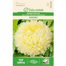 Астра божур жълта /ASTER CHINA, PAEONY  YELLOW/ SK - 0,5 г
