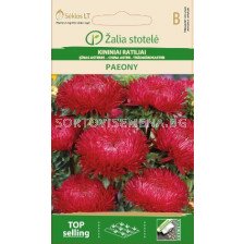 Астра божур червена /ASTER CHINA, PAEONY RED/ SK - 0,5 г