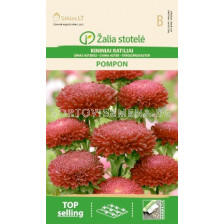 Астра помпон червена/ASTER CHINA, POMPON RED/KIRSCH/ SK-0,5 г