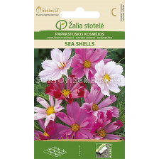 Космос микс / COSMOS GARDEN,SEA SHELLS MIX /  SK - 1 г