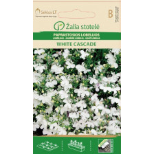 Лобелия Бяла каскада / LOBELIA, WHITE CASCADE / SK - 0,1 г