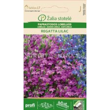 Лобелия Регата лилаво-синя / LOBELIA, REGATTA LILAC / SK - 40 семена