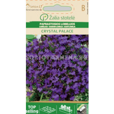 Лобелия Кристален дворец - синя/ LOBELIA, CRYSTAL PALACE / SK - 0,1 г