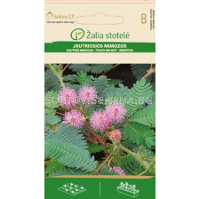 Срамежлива Мимоза розова / MIMOSA, SENSITIVE PLANT ROSE / SK - 0,3 г