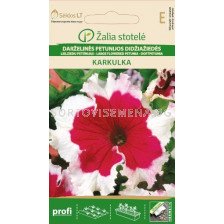 Петуния бяло-червена Каркулка /PETUNIA GRANDIFLORA, KARKULKA/ SK - 15 семена