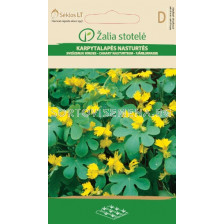 Латинка Канари жълта 