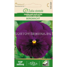 Теменужка лилава / PANSY, BERGWACHT / SK - 0,3 г