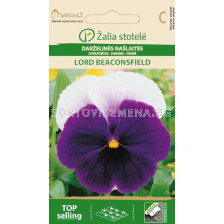 Семена Теменужка бяло-лилава  / PANSY LORD BEACONSFIELD  / 'SK -1 оп - sortovisemena.bg Семена Теменужка бяло-лилава  / PANSY LORD BEACONSFIELD  / 'SK -1 оп