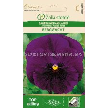 Теменужка лилава / PANSY, BERGWACHT / SK - 0,3 г