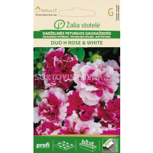 Петуния Салмон 2 - розово-бяла Хибрид /PETUNIA MULTIFLORA DUO SALMON&WHITE / SK - 15 семена						