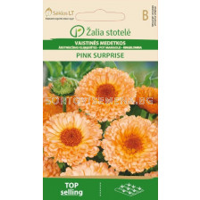 Невен Розова изненада / POT MARIGOLD PINK SURPRISE / SK - 2 г