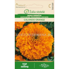 Тагетес оранж /MARIGOLD, AFRICAN CALANDO orange/ SK - 0,5 г