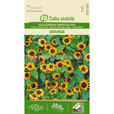 Семена Циния / ZINNIA CREEPING ORANGE / 'SK -1 оп