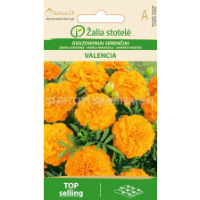 Тагетес Валенсия оранж /MARIGOLD, FRENCH VALENCIA ORANGE/ SK - 1 г