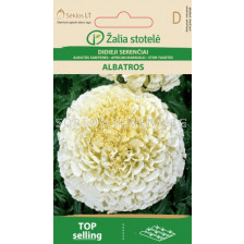 Тагетес бял / MARIGOLD, AFRICAN ALBATROS / SK - 0,3 г