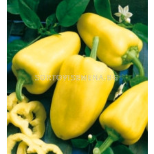 Семена пипер Saroskari "SG - sortovisemena.bg Семена пипер Saroskari "SG