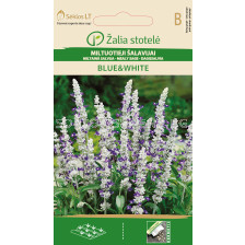 Семена Салвия / SAGE MEALY CUP BLUE&WHITE / 'SK -1 оп