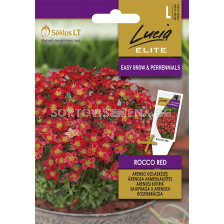 Каменоломка червена / SAXIFRAGA ROCCO RED / SK - 30 семена