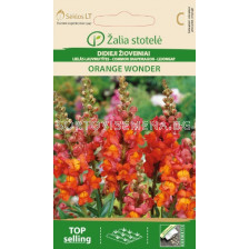 Семена Кученца / SNAPDRAGON ORANGE WONDER / 'SK -1 оп