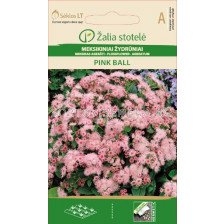 Семена Агератум Розова топка/ FLOSSFLOWER, PINK BALL / SK - 0,1 г