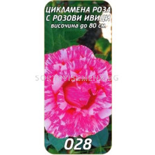 Храстовидна роза 028