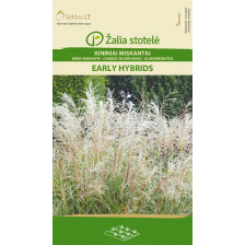 семена Мискантус (Miscanthus sinensis) 'SK -1 оп