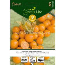 Физалис / CAPE GOOSEBERRY / SK - 0,2 г