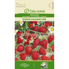 Ягоди Барон Солемахер /STRAWBERRY, BARON SOLEMACHER/ SK - 0,1 г