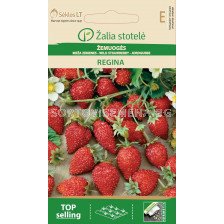Семена Ягоди  / Regina, Red berries/ 'SK - 1 оп 0,1 гр