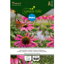 Семена Ехинацея лилава / PURPLE CONEFLOWER/ 'SK - 1 оп