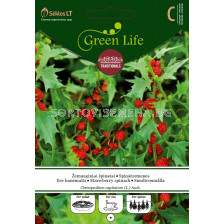 Семена ягодов спанак / STRAWBERRY SPINACH / 'SK - 1 оп