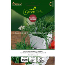 Див чесън / GARLIC CHIVES / SK - 1 г					