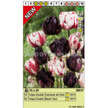 Лале бяло и черно Special edition 1 оп / 25 бр /