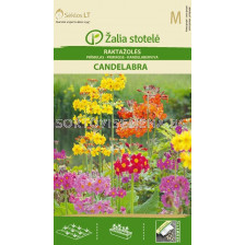Семена Иглика / PRIMROSE CANDELABRA / 'SK -1 оп