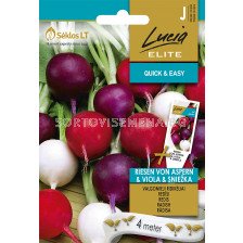 Семена Репички микс /ASPERN VIOLA SNIEŽKA  / 'SK-1 оп 4 гр