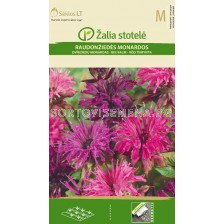 Семена Монарда/пчелен балсам / BEE BALM / 'SK -1 оп