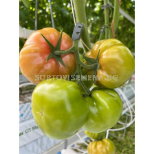 Семена домати Корнати / Kornati F1 - 500 семена