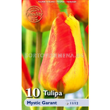 лале Mystic Garant 11/12