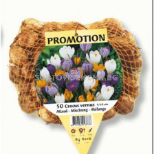 Минзухар /Crocus large flowering mixed / 1 оп -50 бр